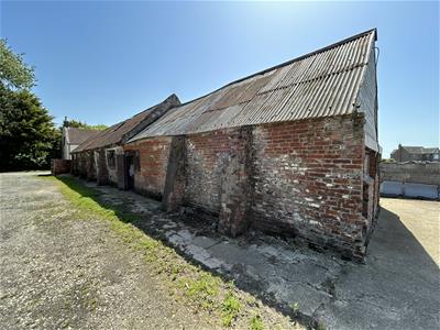 Picture 8